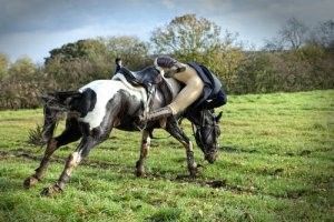 letselschade door paard