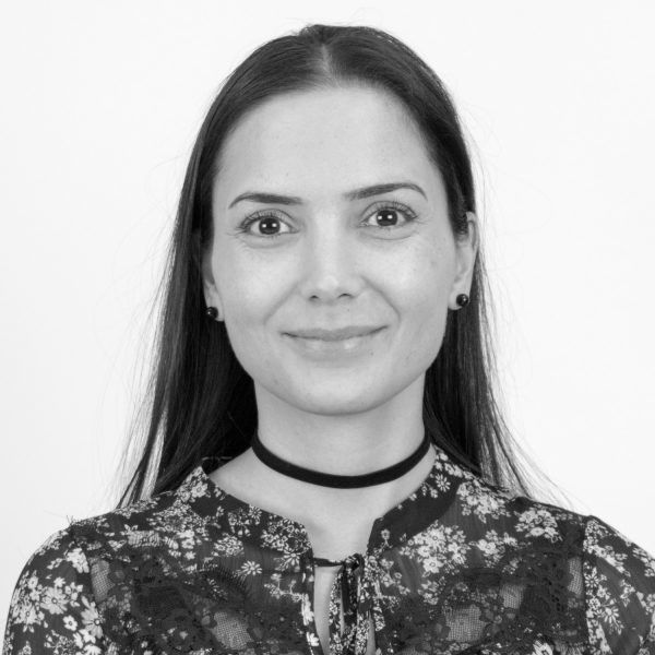 Birsen Sariyildiz-Bakir