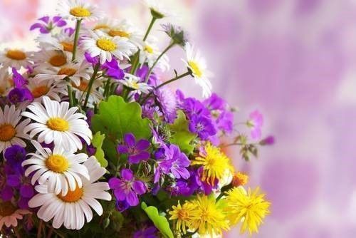 Ervaringen boeket bloemen