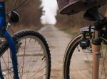 De Fietsersbond pleit er onder ander voor dat hoofdfietsroutes worden gescheiden van belangrijke autoroutes.