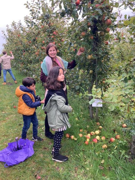 Een van de dJBL&G probeert op meerdere vlakken maatschappelijk verantwoord te ondernemen. We bieden onze medewerkers onder andere aan om een appelboom te adopteren als verjaardagscadeau.